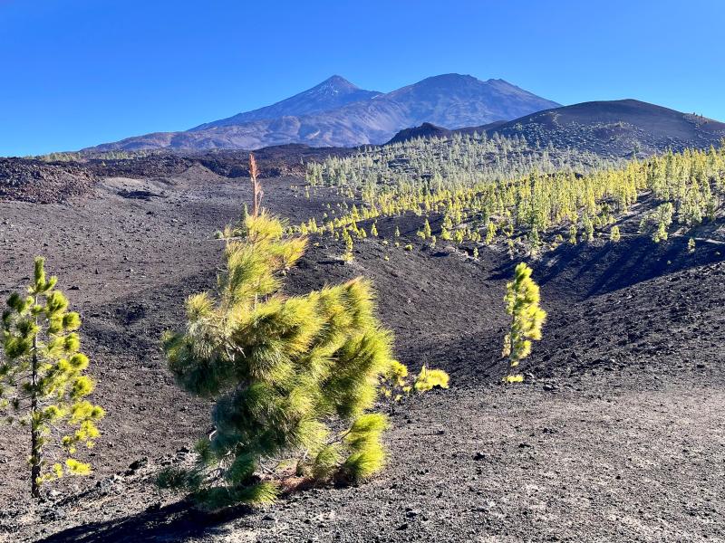 Mirador de Samara: Náhradní plán místo lanovky na El Teide