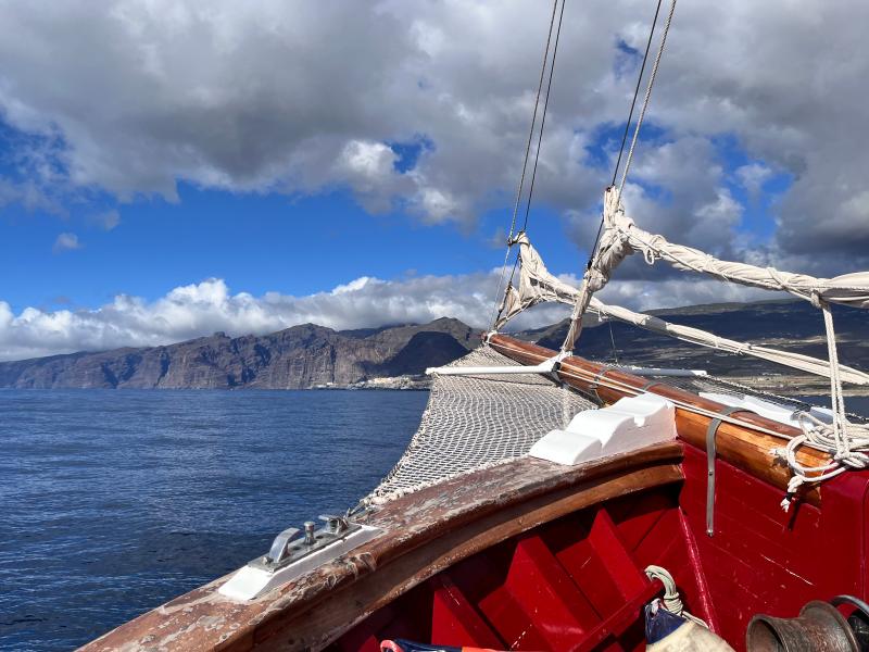 Los Gigantes – Plavba lodí: Útesy a velryby