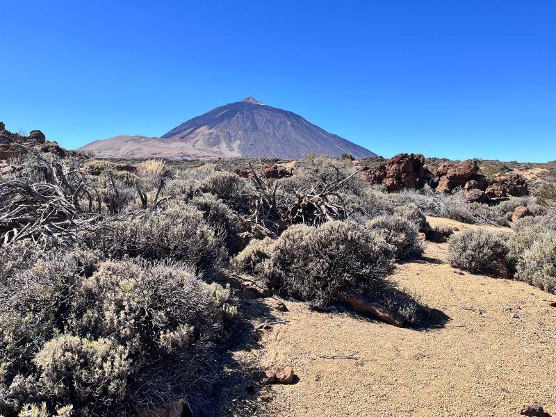 Národní park Teide: Portillo Alto a výhledy na vulkanickou krajinu