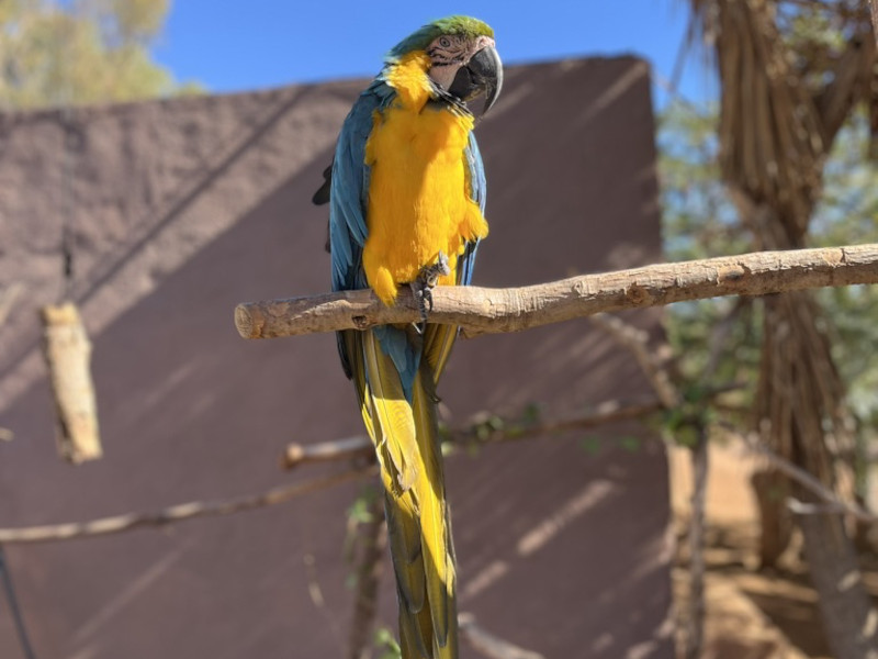 Monkey Park Tenerife